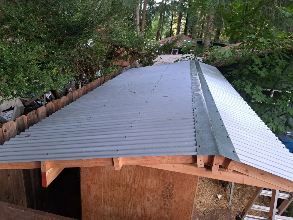 A shed (with saltbox roof) image